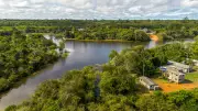 Webinar debate bioinovação na Amazônia com vencedor do 'Nobel do Meio Ambiente'