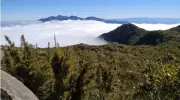 WTR estreia ultramaratona de 75 km em Agulhas Negras