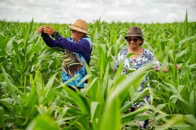 Agricultura familiar fortalece Boa Vista em seus 136 anos