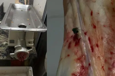 Açougue interditado em Campo Grande com 475 kg de carnes apreendidas