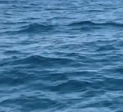 Baleia-jubarte salta em Maricá e vídeo viraliza; temporada de observação começa