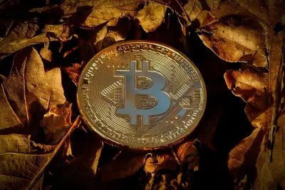 Binance: Bitcoin fica mais sensível ao macro após queda de 32% no semestre