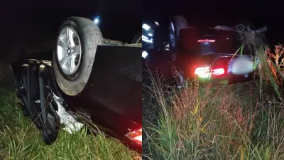 BMW bate em carroça puxada por bois e mata quatro animais em MG