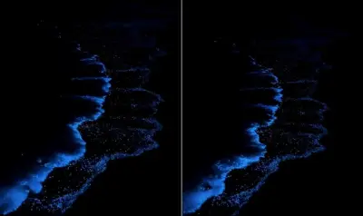 Brilho no escuro: bioluminescência transforma oceano em espetáculo de luz azul
