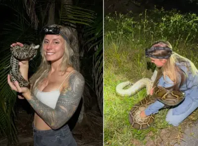 Caçadora de pítons Taylor Stanberry busca novo recorde na Flórida