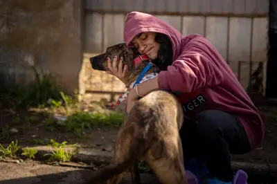 Cachorro perdido em enchente volta para casa 2 anos depois no RS
