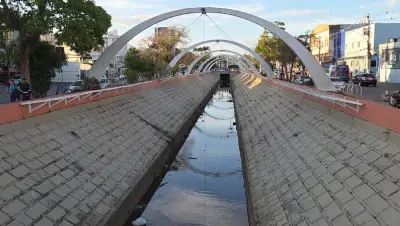 Cardume no Canal Campos-Macaé atrai curiosos, mas consumo é proibido