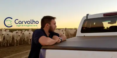 Carvalho Agronegócios: inteligência de mercado para reduzir custos na pecuária