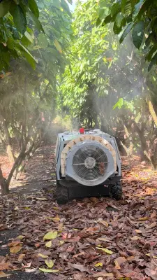 Chinesas de médio porte avançam no mercado de máquinas agrícolas no Brasil