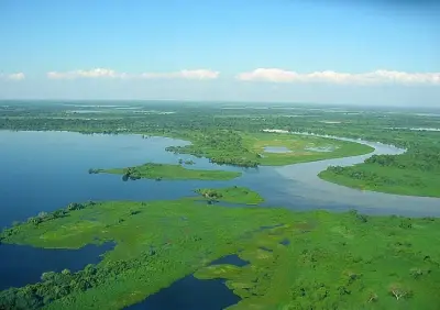 Câmara acelera revogação de decreto que ampliou unidade de conservação no Pantanal