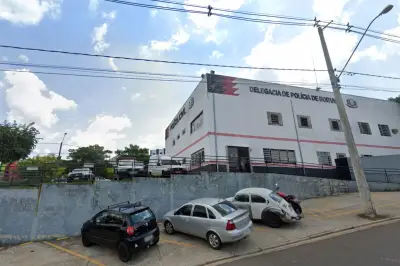 Cão é resgatado com ferimentos de faca na cabeça em Boituva (SP)