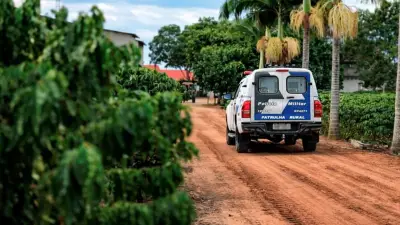 Colheita no Norte do ES: produtores mudam rotina por medo de furtos