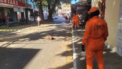 Colmeia cai e interdita rua em Parnaíba por horas