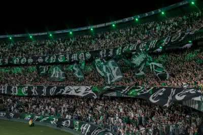 Coritiba x Palmeiras: informações e palpite para o jogo do Brasileirão