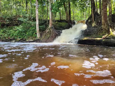 Corpo de homem que levou choque elétrico é encontrado em lago no AM