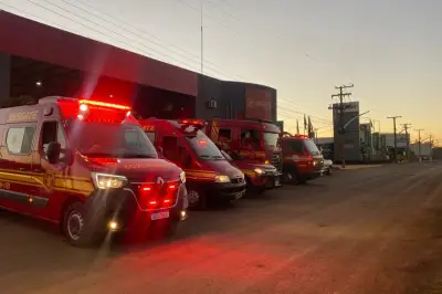 Criança de 1 ano morre afogada em tanque de peixes em MS
