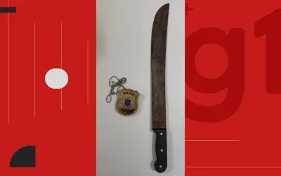 Crianças feridas ao defender mãe de ataque com facão na Bahia