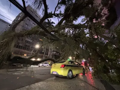 El Niño: alerta para preparar o país, diz Miriam Leitão
