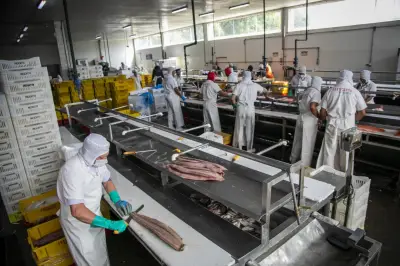 Escassez de mão de obra é alerta para economia