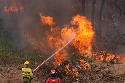 Espanha e França intensificam combate a incêndios florestais sob nova onda de calor