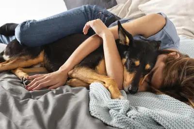 Estudo: cães respondem melhor a vozes femininas