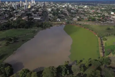 Excesso de plantas aquáticas cobre lagos e mobiliza limpeza em Dourados