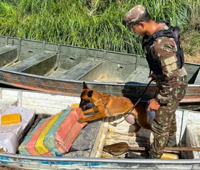 Farc e CV usam rios amazônicos para trazer 'supermaconha' ao Brasil