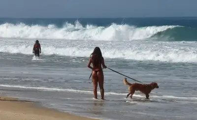 Fim de semana de sol tem 10 praias da Zona Sul do Rio impróprias para banho