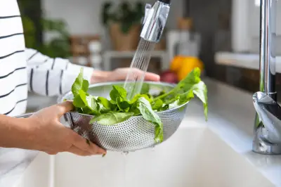Folha de mostarda: por que incluir esse superalimento na dieta