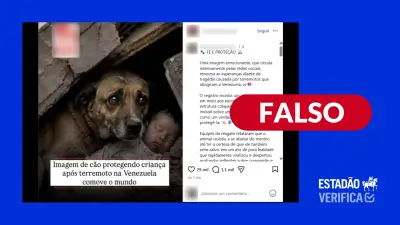 Foto de cão protegendo bebê em terremoto na Venezuela é gerada por IA