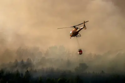 França: incêndio florestal após calorão força evacuação de 3 mil