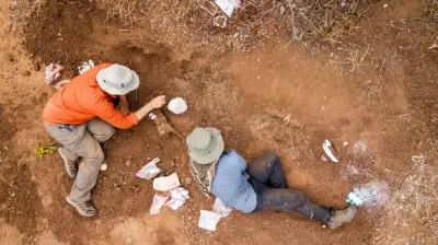 Fóssil de dinossauro de 210 milhões de anos descoberto no Zimbábue