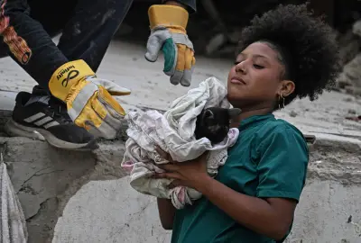 Gato resgatado com vida um mês após terremoto na Venezuela