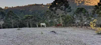 Geada cobre Campos do Jordão com temperatura de 2,1°C