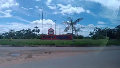 Homem morre ao ser atingido por árvore durante derrubada em Feijó, AC