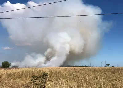 Incêndio em mata causa cortina de fumaça e fecha RJ-158 em Campos