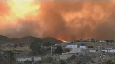 Incêndio florestal mata 12 e deixa 23 desaparecidos na Andaluzia