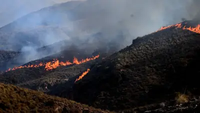 Incêndios florestais devastam Espanha e França em terceira onda de calor na Europa