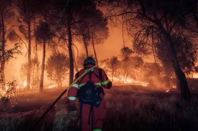 Incêndios na Espanha e França se estabilizam, mas nova onda de calor ameaça agravar crise