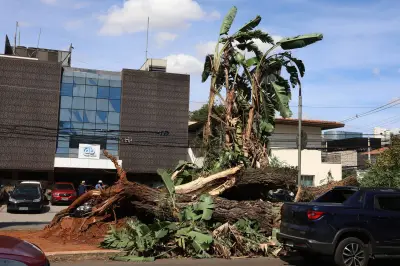 Inmet emite alerta de vendaval para 821 municípios em sete estados