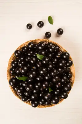 Jabuticaba, açaí e guaraná estão entre as 100 melhores frutas do mundo em 2026