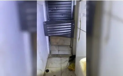 Jovem é achado dentro de geladeira após invadir casa em Rio Preto