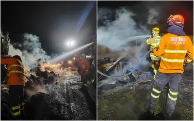 Mais de 50 bezerros morrem carbonizados em acidente na GO-112