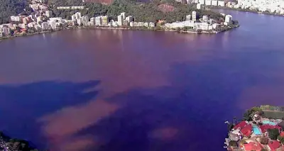 Mancha na Lagoa Rodrigo de Freitas é causada por microalga, descarta secretaria