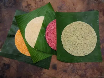 Mandioca: versatilidade da raiz que é base da culinária brasileira