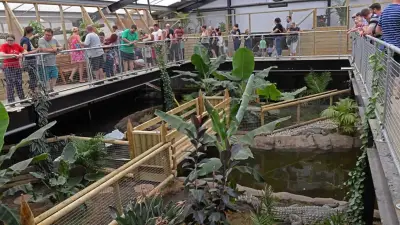 Menino atacado por crocodilo passa por sétima cirurgia e pode receber alta
