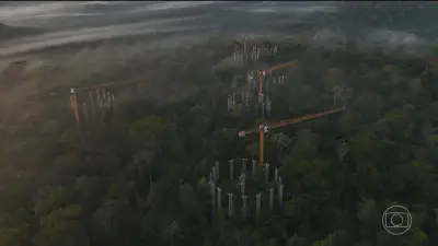 Máquina na Amazônia simula clima do futuro com CO2