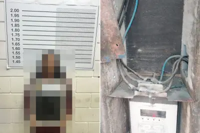 Mulher é presa por furto de energia e venda de produtos ilegais em Bertioga