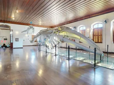 Museu de Pesca de Santos oferece visitação virtual gratuita em 3D