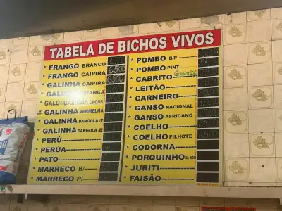 PM Ambiental apreende pombos vivos em loja de Duque de Caxias